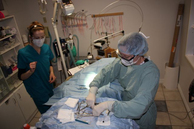 Getting ready for surgery